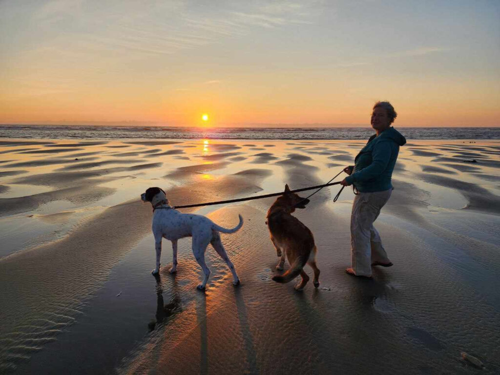 Dogs playing on the Long Beach Peninsula